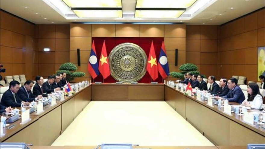 Vietnamese, Lao NA vice chairmen hold talks